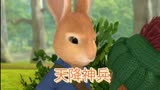 彼得兔之天降神兵，3—6岁儿童早教启蒙休闲益智动画片推荐