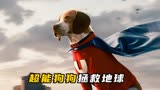 流浪狗意外获得超能力，变身超狗拯救世界！《超狗任务》