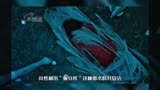 《红衣小女孩》1/3女孩意外死忘，母亲不甘心，用巫术将其复活