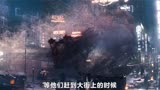 哈利波特前传《神奇动物在哪里1》