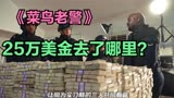 菜鸟老警：25万美金不翼而飞，三位新人警员成了嫌疑犯！