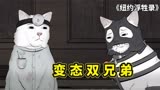 纽约屁民之变态兄弟，猫咪效仿人类虐猫，门当户对和爱情哪个重要