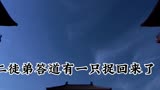 千门八将（阴侵阳道局）#千门八将#做局#商业思维