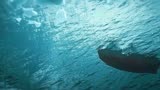 原来《深海》只是一部形式大于内容的悲剧而已！
