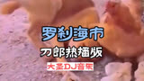 DJ音乐:第143集:罗刹海市刀郎热播版:全网热播歌曲榜:刀郎热歌:中文劲爆名曲