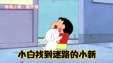蜡笔小新：小新迷路了，大半夜都没回家，还得小白亲自来接他
