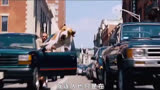 一个视频了解整部电影，#电影解说#超狗任务#萤火虫计划