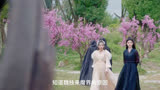 仙侠爱情古装电视剧《花戎》第二十九段