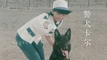 88年引进电视剧《警犬卡尔》，当年你养过一只名叫“卡尔”的狗吗