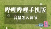 哔哩哔哩手机版音量怎么调节