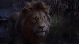 狮王的怒火#动画电影 #动画解说#狮子王 #搞笑动画