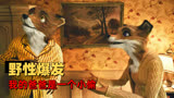 了不起的狐狸爸爸：二十世纪第一部定格动画，看狐狸智斗农场主