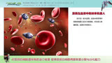 「高达00」（前传）15：【天人】的科技可以使人永生？ #影视  #科幻  #动漫  #高达  #经典动画