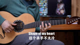 这个杀手不太冷 片尾曲 Shape of my heart 赛平吉他教学