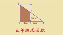 上海五年级期末考试题，几何求面积，难住尖子生