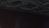 河狸