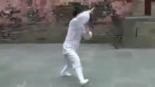 武当功夫——伏虎拳 太极拳教程