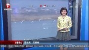 [超级新闻场]安徽含山:湿地美 天鹅栖资讯搜索最新资讯爱奇艺