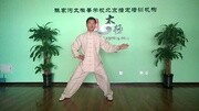 任明明太极拳(基本功之缠丝功)生活完整版视频在线观看爱奇艺