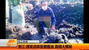 热点视频 头发做酱油真相大揭秘5完整版视频在线观看爱奇艺