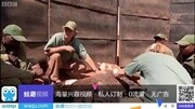 Disgusting! Maggots纪录片完整版视频在线观看爱奇艺