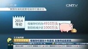 CCTV2经济信息联播20150607生猪价格资讯搜索最新资讯爱奇艺