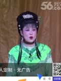 庐剧《郑小娇》片段6 汪莉演出