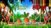 355 拔萝卜 儿童幽默剧 情景剧 歌舞剧 表演剧led大屏幕背景母婴完整版视频在线观看爱奇艺