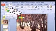 PPT制作素材 ppt制作动态素材 全新ppt模板教育完整版视频在线观看爱奇艺