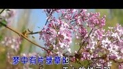 乌兰托娅梦中有片绿草地MTV音乐背景音乐视频音乐爱奇艺