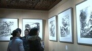 央视数字书画频道:黄淳波水墨民居画展在京举行资讯完整版视频在线观看爱奇艺