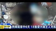 主人猝死后 被收养的16只狗啃尸搞笑完整版视频在线观看爱奇艺