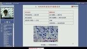 内科学01(127分钟)知识名师课堂爱奇艺