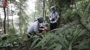 《平安建设进行时》20170702 铜梁区:“死亡密码”破解者杨发英资讯完整版视频在线观看爱奇艺