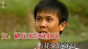 小调情歌桃花红(蒙克对唱版KTV)音乐完整版视频在线观看爱奇艺