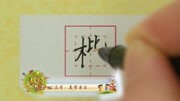 楷字的写法知识名师课堂爱奇艺