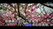 悠悠朵儿情随桃花醉[授权版]高清音乐背景音乐视频音乐爱奇艺