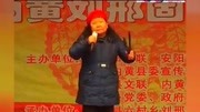 全国坠子明星王巧珍演唱河南坠子《杨家将》音乐背景音乐视频音乐爱奇艺