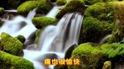 张芸京一首《偏爱》好听至极音乐背景音乐视频音乐爱奇艺