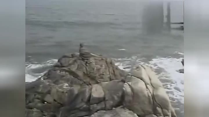           《西游记》孙悟空出世