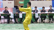 2004年全国传统武术交流大会 男子项目 007 形意拳 薛宇体育完整版视频在线观看爱奇艺