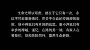 《让生命无憾》车辆交通事故警示教育片网络电影完整版视频在线观看爱奇艺