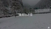 彭州市小鱼洞蟠龙谷雪景!原创完整版视频在线观看爱奇艺