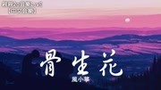 风小筝 骨生花动能歌词!音乐完整版视频在线观看爱奇艺