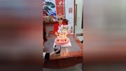 祝姐姐生日快乐!身体健康!阖家欢乐!永远幸福原创完整版视频在线观看爱奇艺