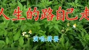 蒋婴一首《人生的路自己走》唱得太好了,句句大实话,好听极了