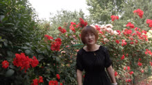 pv_2495458400_d_601_220_124.jpg
