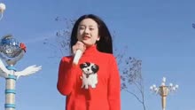 饶什么味成语_成语故事图片(3)