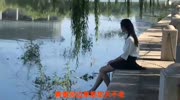 一曲《青青河边草》声音很舒服,与你分享音乐背景音乐视频音乐爱奇艺