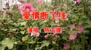 陈玉建一首伤感情歌《爱情断了线》句句凄美,触动心扉!音乐背景音乐视频音乐爱奇艺